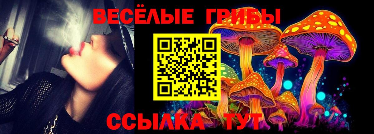 Галлюциногенные грибы мухоморы Ступино