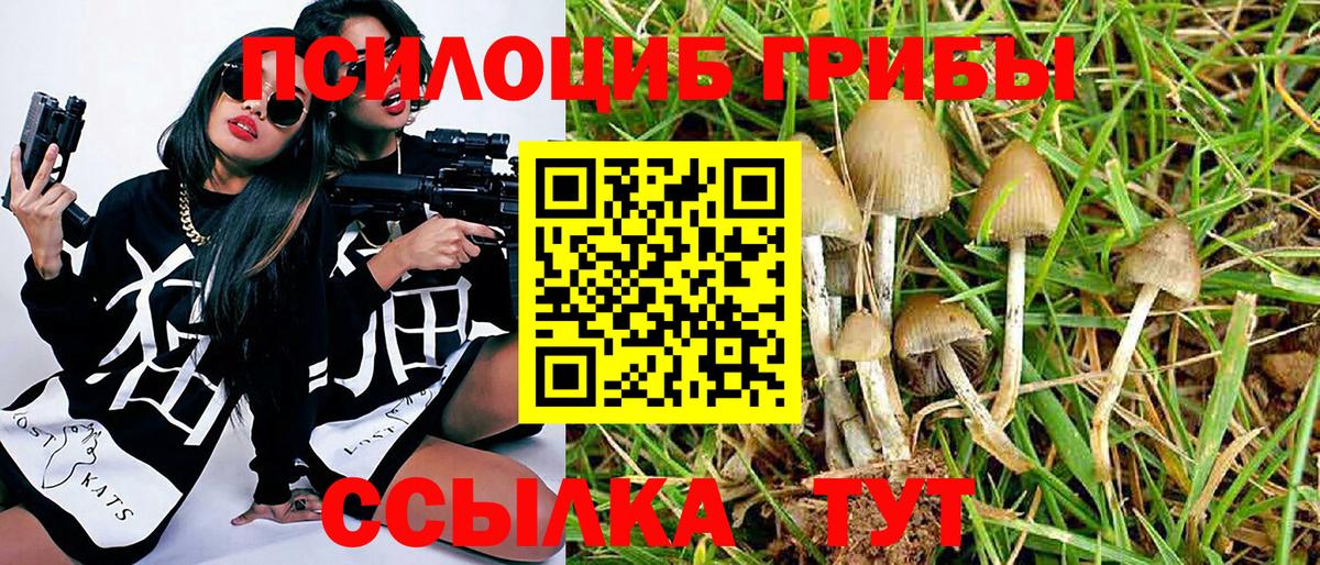 Псилоцибиновые грибы MAGIC MUSHROOMS  Галлюциногенные грибы мухоморы  Ступино  Вход с VPN 